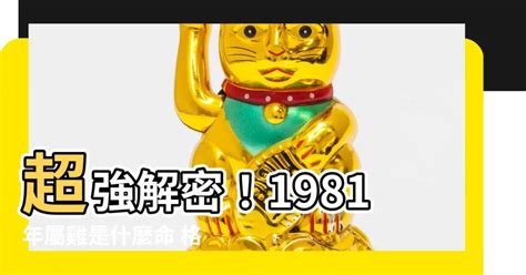 1981雞男|【81年屬】超強解密！1981年屬雞是什麼命 格局如何全解析